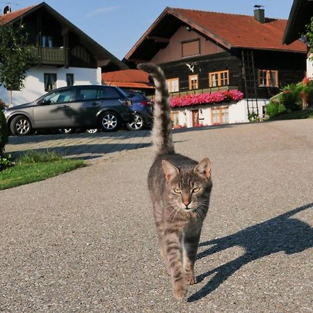 Giglerhof Apartman Bad Birnbach Kültér fotó