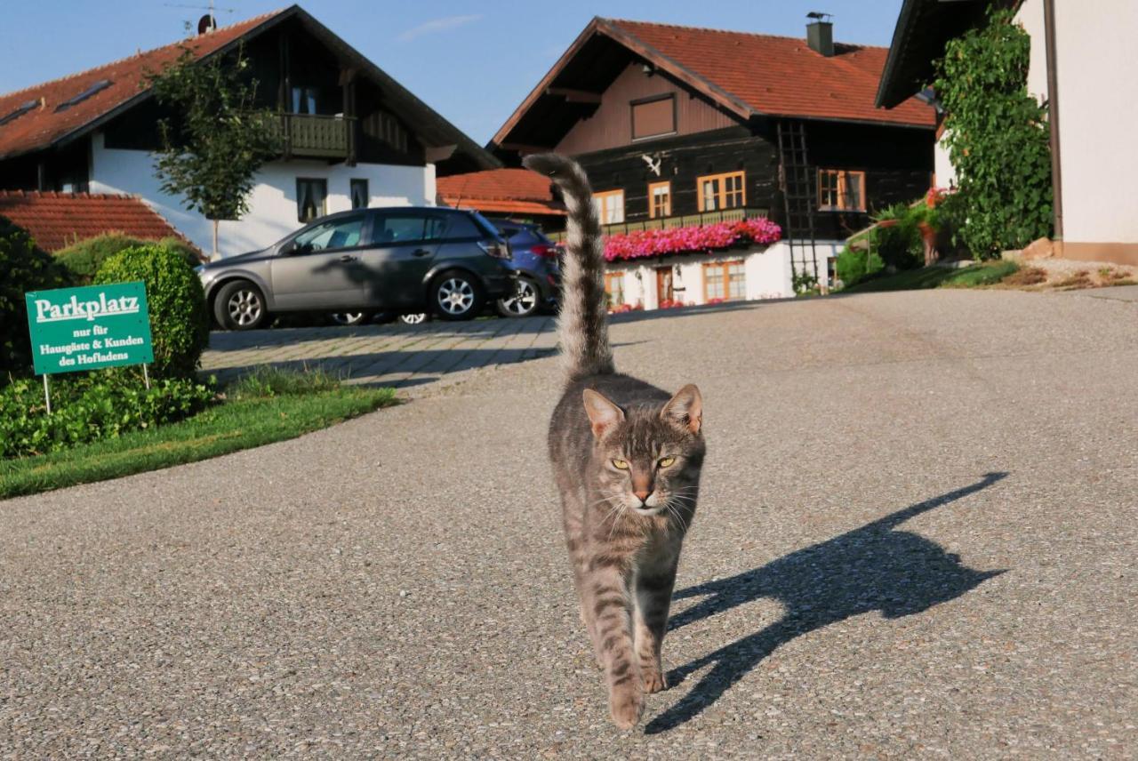 Giglerhof Apartman Bad Birnbach Kültér fotó