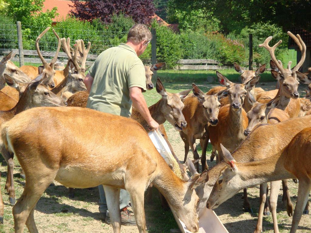 Giglerhof Apartman Bad Birnbach Szoba fotó