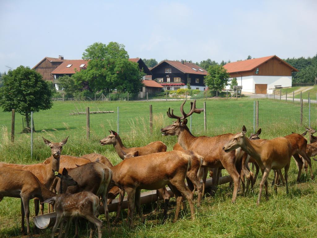 Giglerhof Apartman Bad Birnbach Kültér fotó