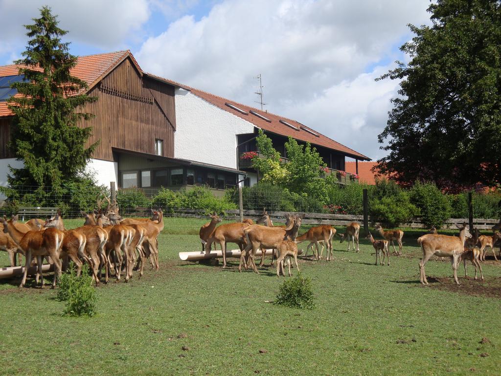 Giglerhof Apartman Bad Birnbach Szoba fotó